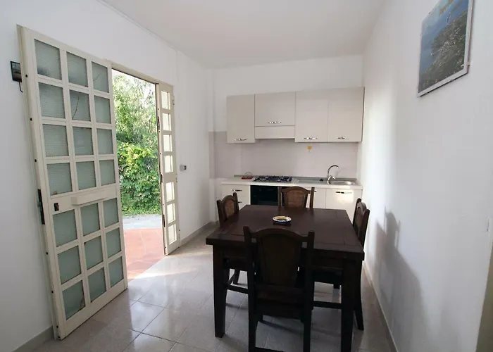 Capo Summer * קאפו ואטיצ'אנו