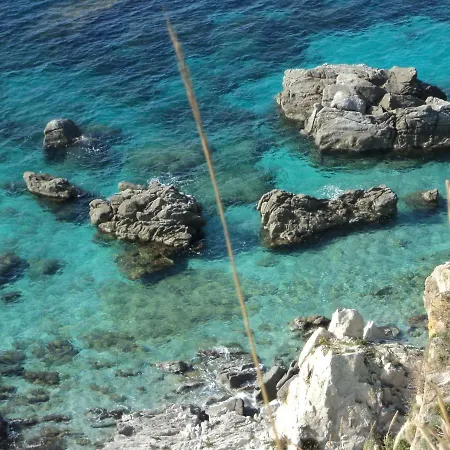 Capo Summer * Capo Vaticano