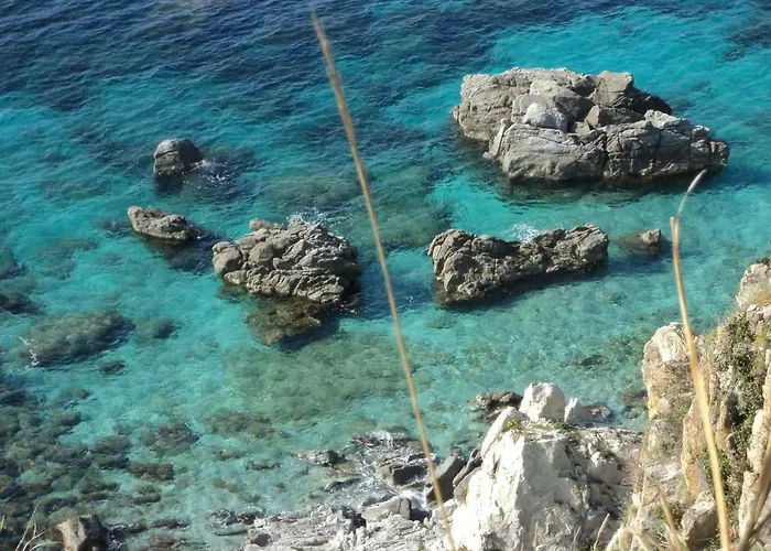 Capo Summer * Capo Vaticano